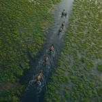 16-award-winning-photographs-from-around-the-world