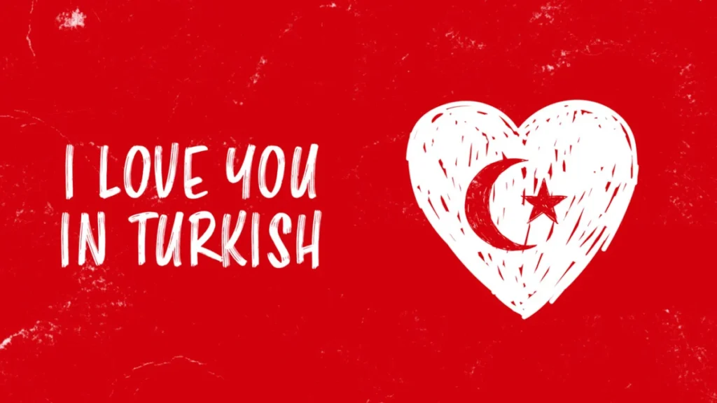 the-linguistic-evolution-and-cultural-application-of-romantic-expressions-in-modern-turkish