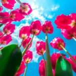 the-science-of-spring-how-circadian-clocks-and-environmental-cues-trigger-the-annual-bloom-of-global-flora