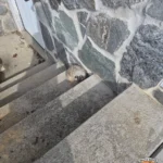 a-tale-of-resilience-and-fostering-as-an-injured-great-horned-owl-becomes-a-surrogate-mother-at-raven-ridge-wildlife-center