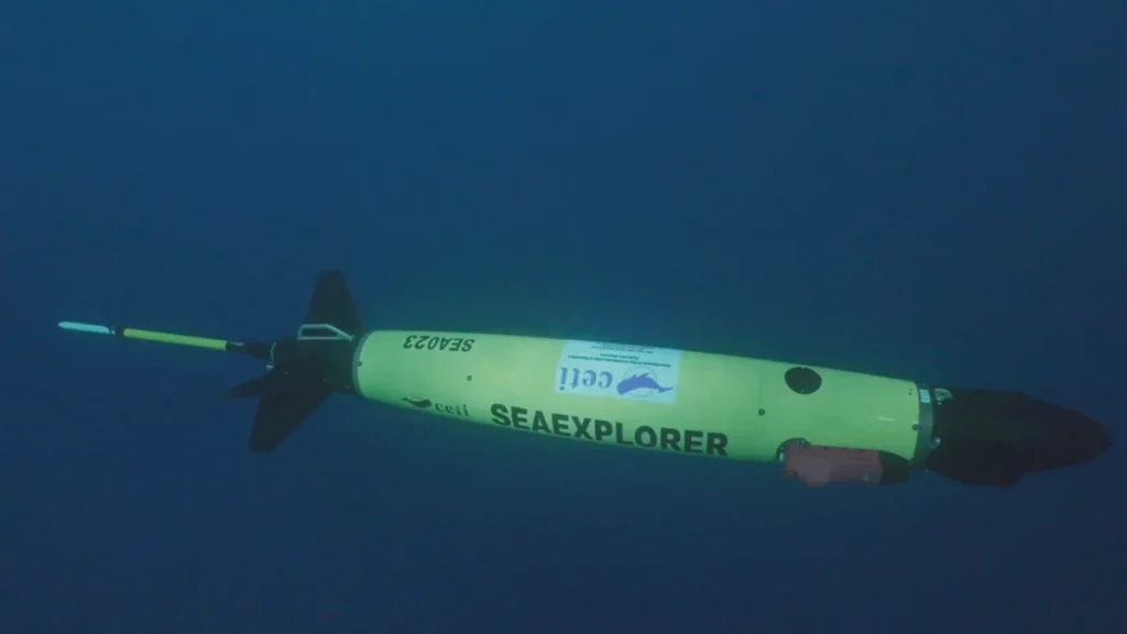 ai-driven-underwater-gliders-revolutionize-sperm-whale-tracking-and-marine-biology-research
