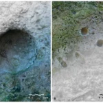 ancient-artillery-breakthrough-archaeological-evidence-at-pompeii-points-to-the-use-of-the-polybolos-a-repeating-weapon-ahead-of-its-time