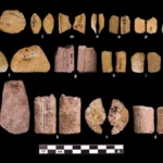 ancient-indigenous-dice-and-the-origins-of-probabilistic-thinking-in-the-pleistocene-americas