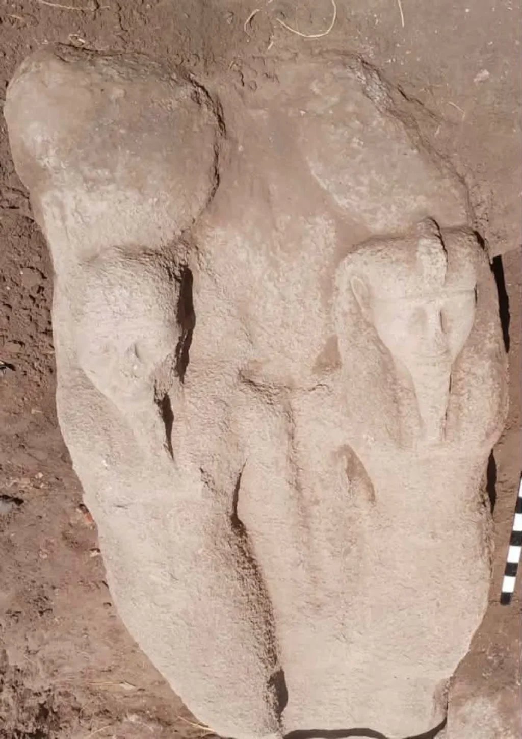 archaeologists-unearth-massive-upper-section-of-ramses-ii-statue-at-ancient-site-in-the-nile-delta