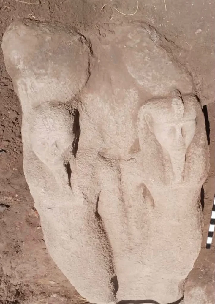 archaeologists-unearth-massive-upper-section-of-ramses-ii-statue-at-ancient-site-in-the-nile-delta