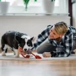 extra-playtime-strengthens-the-emotional-bond-between-dogs-and-their-owners