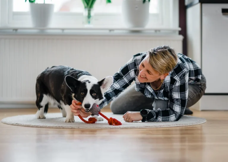 extra-playtime-strengthens-the-emotional-bond-between-dogs-and-their-owners