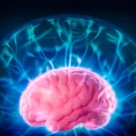 groundbreaking-harvard-study-pinpoints-lithium-loss-as-a-root-cause-of-alzheimers-paving-way-for-novel-treatments