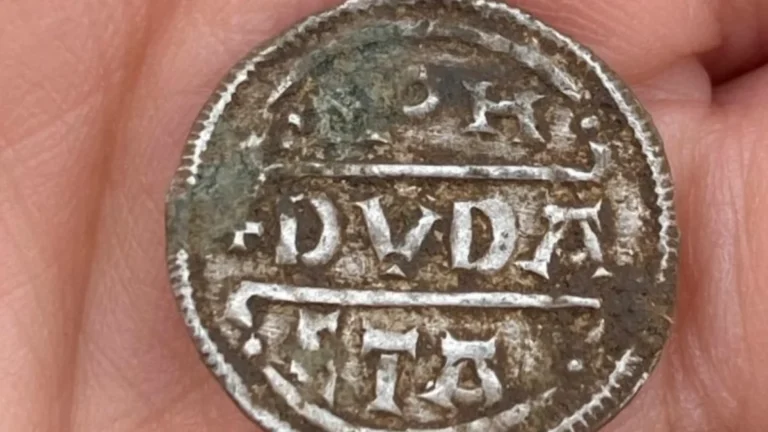 rare-anglo-saxon-coin-hoard-unearthed-in-worcestershire-offers-insight-into-ninth-century-mercian-history
