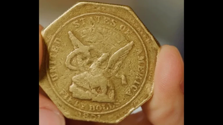 san-francisco-treasure-hunt-returns-as-witter-coin-hides-fifty-thousand-dollars-in-rare-gold-currencies-across-the-city