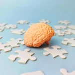 unraveling-human-memory-bonn-researchers-discover-separate-neural-systems-for-content-and-context
