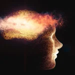 vulnerability-to-memory-decline-in-aging-revealed-by-a-mega-analysis-of-structural-brain-change