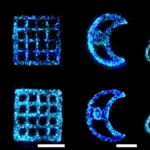 biological-lighting-revolution-scientists-unlock-sustained-bioluminescence-in-algae-for-sustainable-energy-solutions