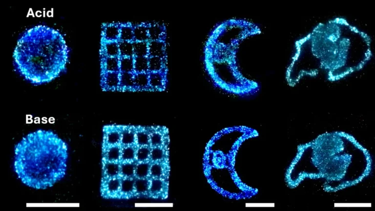 biological-lighting-revolution-scientists-unlock-sustained-bioluminescence-in-algae-for-sustainable-energy-solutions
