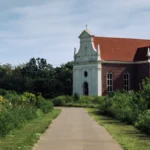 genetic-mapping-of-17th-century-maryland-settlers-links-colonial-remains-to-over-1-3-million-living-descendants-and-identifies-early-governor
