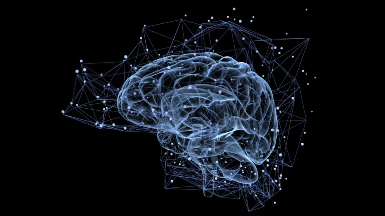 groundbreaking-research-unveils-dynamic-molecular-timers-governing-memory-durability-challenging-traditional-models