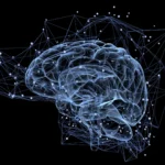 molecular-timers-orchestrate-memory-durability-a-paradigm-shift-in-neuroscience-unveils-the-brains-selective-storage-system