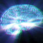new-research-challenges-traditional-understanding-of-adhd-stimulants-pointing-to-reward-and-wakefulness-systems