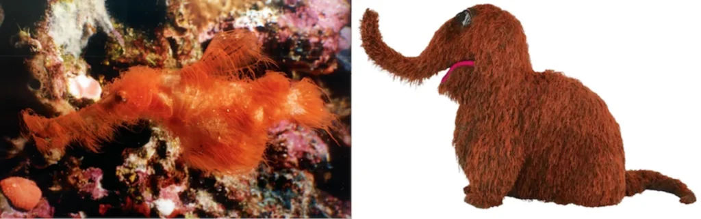 scientific-discovery-and-formal-description-of-solenostomus-snuffleupagus-the-hairy-ghost-pipefish-named-after-sesame-street-icon-mr-snuffleupagus