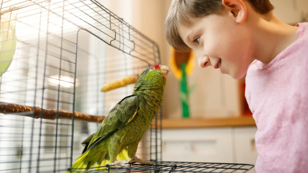 the-science-of-avian-speech-why-parrots-and-other-birds-mimic-human-language
