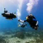woods-hole-oceanographic-institution-unveils-curee-autonomous-robot-for-real-time-coral-reef-biodiversity-monitoring-and-ecosystem-exploration