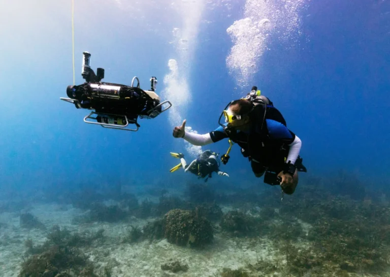woods-hole-oceanographic-institution-unveils-curee-autonomous-robot-for-real-time-coral-reef-biodiversity-monitoring-and-ecosystem-exploration