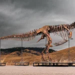 massive-tyrannosaurus-rex-skeleton-gus-set-to-shatter-auction-records-at-sothebys-natural-history-sale