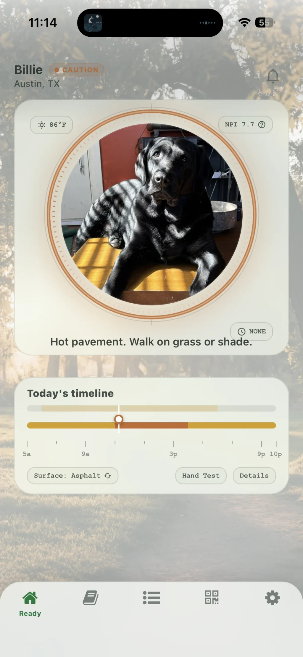 northpaw-app-leverages-machine-learning-to-protect-canine-health-amid-rising-summer-temperatures