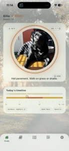 northpaw-app-leverages-machine-learning-to-protect-canine-health-amid-rising-summer-temperatures