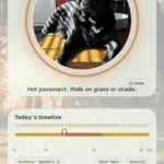 northpaw-app-leverages-machine-learning-to-protect-canine-health-amid-rising-summer-temperatures