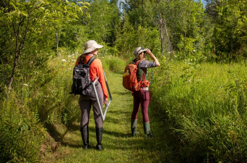 trent-universitys-green-network-reimagined-through-indigenous-knowledge-and-ecological-stewardship
