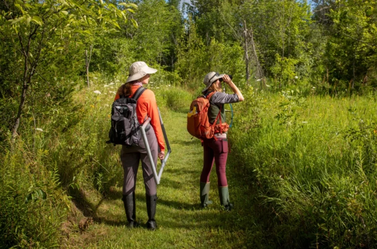 trent-universitys-green-network-reimagined-through-indigenous-knowledge-and-ecological-stewardship