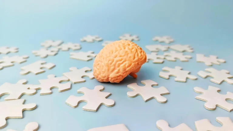 a-dual-system-how-the-human-brain-separates-content-and-context-to-form-flexible-memories