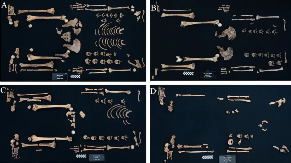 ancient-egyptian-princesses-were-skilled-warriors-and-hunters-new-skeletal-analysis-reveals