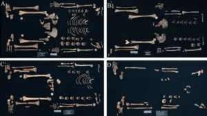 ancient-egyptian-princesses-were-skilled-warriors-and-hunters-new-skeletal-analysis-reveals