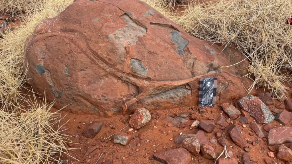 ancient-volcanic-rocks-in-western-australia-provide-evidence-of-water-recycling-and-early-crustal-evolution-over-three-billion-years-ago