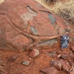 ancient-volcanic-rocks-in-western-australia-provide-evidence-of-water-recycling-and-early-crustal-evolution-over-three-billion-years-ago