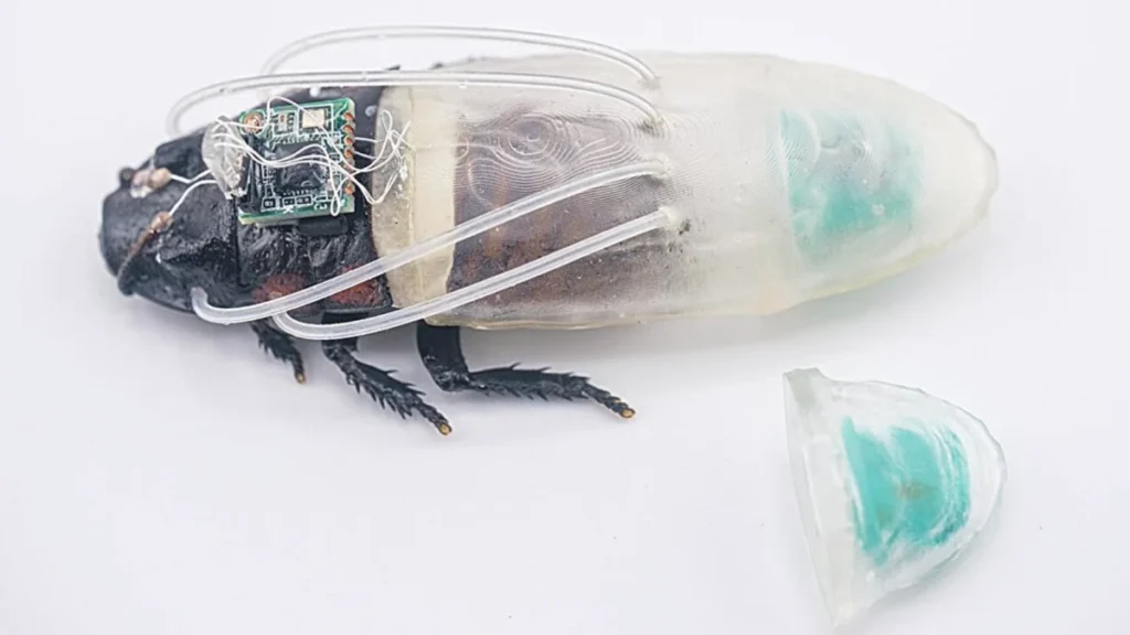 cyborg-cockroaches-equipped-with-3d-printed-diving-suits-for-underwater-search-and-rescue-operations