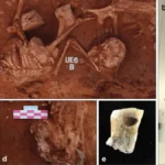 excavations-at-cerro-de-las-cabezas-reveal-ritualistic-bad-deaths-and-deviant-burials-in-iron-age-iberia