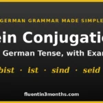 mastering-the-german-verb-sein-a-comprehensive-linguistic-analysis-of-conjugation-usage-and-historical-evolution