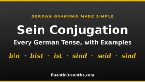 mastering-the-german-verb-sein-a-comprehensive-linguistic-analysis-of-conjugation-usage-and-historical-evolution