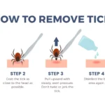 How to remove tick infographics banner, flat vector illustration on white background.
