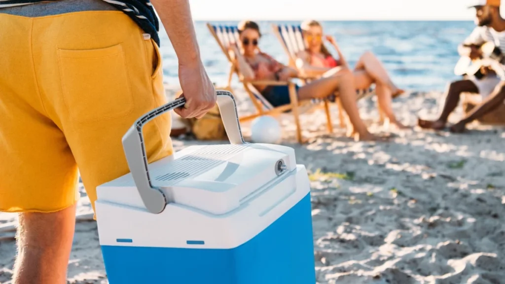 cropped shot of man holding beach cooler while friends resting on sand behind