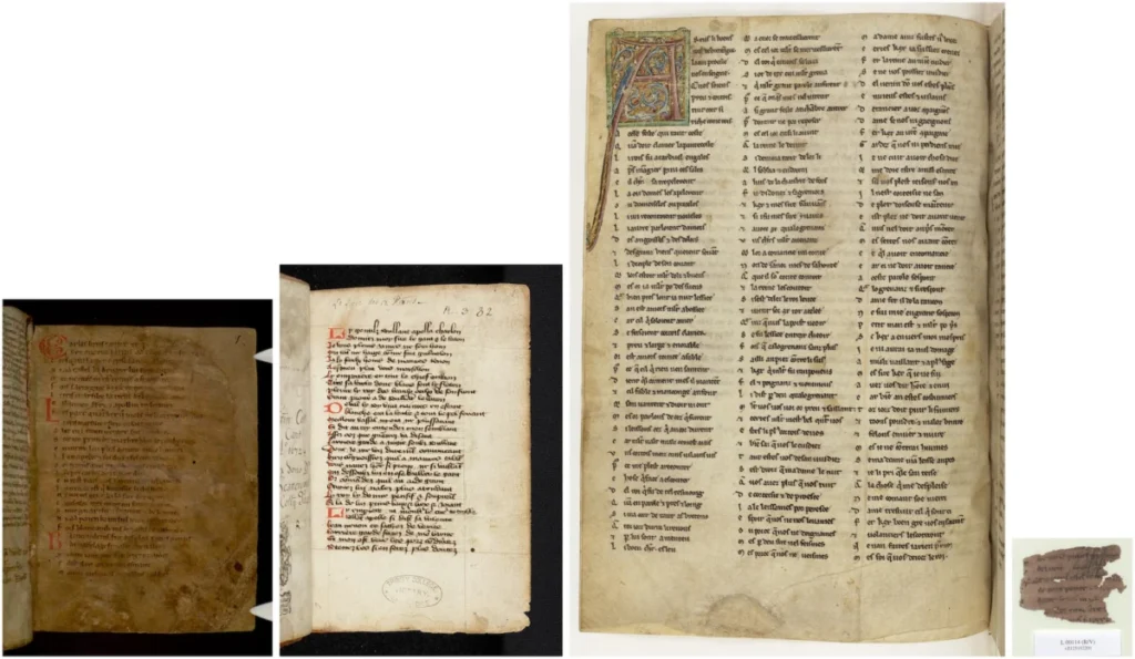 uncovering-the-ghost-library-mathematical-modeling-reveals-the-staggering-loss-of-medieval-chivalric-literature