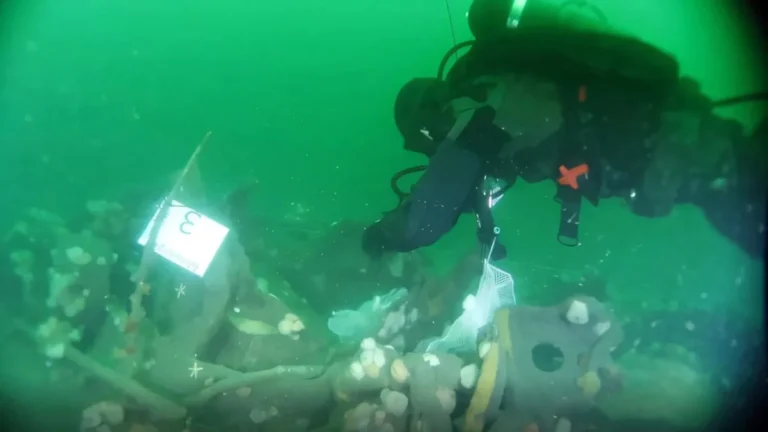 a-century-old-threat-world-war-i-shipwrecks-are-slowly-leaching-explosives-into-the-north-sea