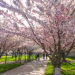 beyond-the-classroom-walls-the-rise-of-earth-centric-pedagogy-in-higher-education