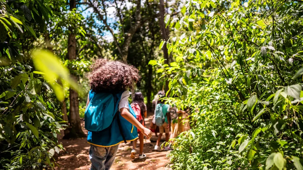 beyond-the-screen-how-outdoor-education-is-rewiring-middle-school-mental-health-and-resilience