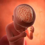 congenital-torch-infections-linked-to-significantly-elevated-risks-of-autism-and-intellectual-disability-in-large-scale-study