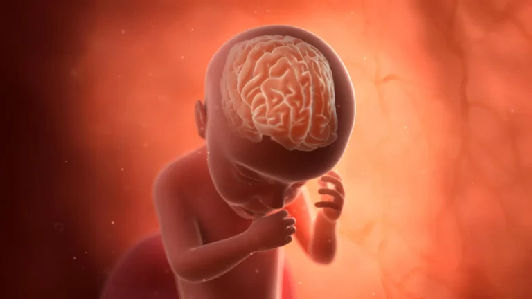 congenital-torch-infections-linked-to-significantly-elevated-risks-of-autism-and-intellectual-disability-in-large-scale-study