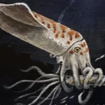 discovery-of-160-million-year-old-jurassic-squid-relative-with-unusually-large-rostrum-sheds-new-light-on-mesozoic-marine-ecosystems